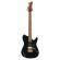 Guitarra eléctrica Signature Lari Basilio Ibanez LB1-BK