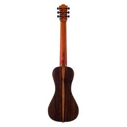 Guitarra acústica Bromo BAR3E de viaje