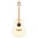 Guitarra electro acústica Ibanez AAM370M2E-APF
