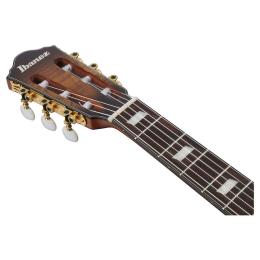Guitarra clásica Ibanez FRH20SMN-TCL