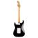 Guitarra eléctrica Fender Limited 50th Anniversary Dave Murray Stratocaster RW BLK