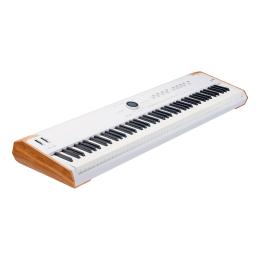 Teclado de escenario Arturia Astrolab 88