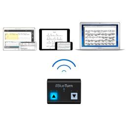 Pedal controlador IK Multimedia iRig BlueTurn