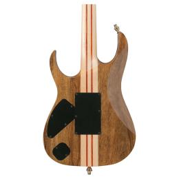 Guitarra eléctrica Ibanez IV2RG