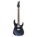 Guitarra eléctrica Ibanez RG421DX-TWS Twilight Shade