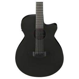 Guitarra acústica 12 cuerdas Ibanez AEG1221-BOT Black Out