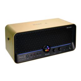 Amplificador Mooer F40i Li Imperial Gold