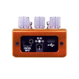 Pedal guitarra y bajo Source Audio SA281 Pathways