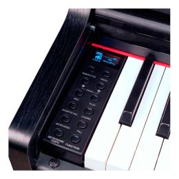 Piano digital 88 teclas Oqan QP88S