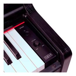 Piano digital 88 teclas Oqan QP88S