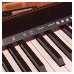 Piano digital 88 teclas Oqan QK88P