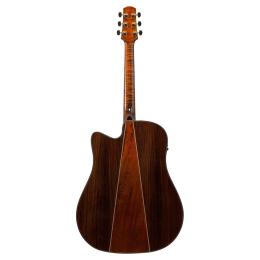 Guitarra acústica Ibanez AAD381CE-NT electrificada