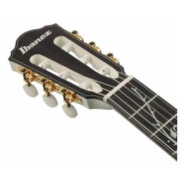 Guitarra clásica Ibanez TOD100FMN-TMM Artist Tim Henson