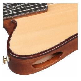 Guitarra clásica Ibanez TOD100N-NT Artist Tim Henson