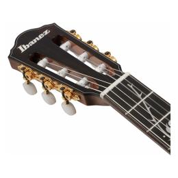 Guitarra clásica Ibanez TOD100N-NT Artist Tim Henson