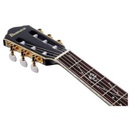 Guitarra Ibanez TOD20FMN-BFL Artist Tim Henson