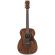 Ibanez PC12MH-OPN