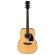 Ibanez PF15-NT - Guitarra acústica dreadnought