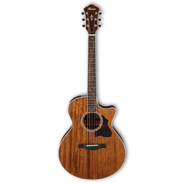 Ibanez AE245-NT