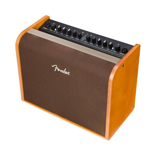 Fender Acoustic 100