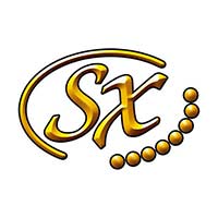 SX Guitars