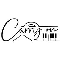 ▷ Carry On Piano 88 Black - Teclado plegable portátil